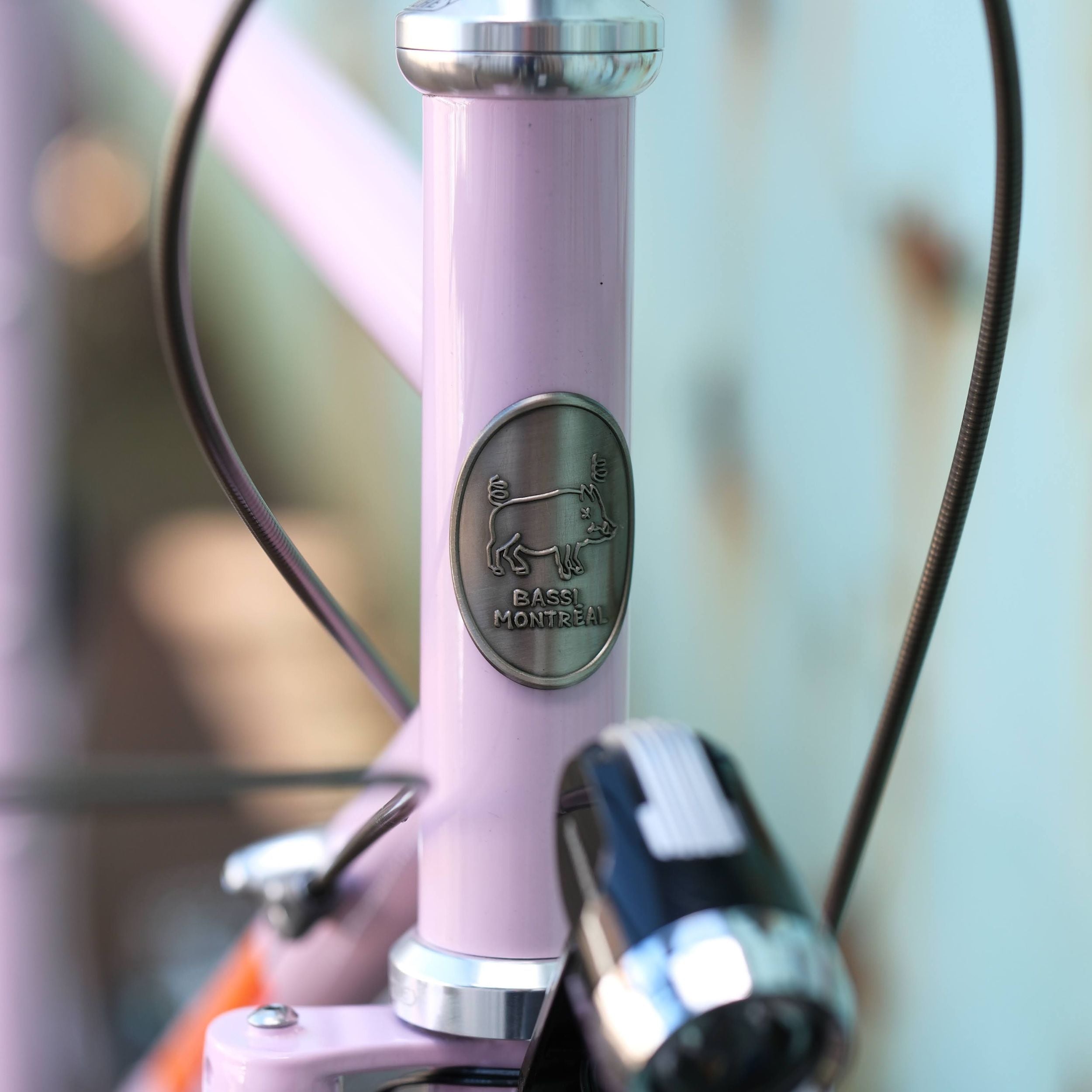 BASSI BIKES Hog's Back World Tourer Special