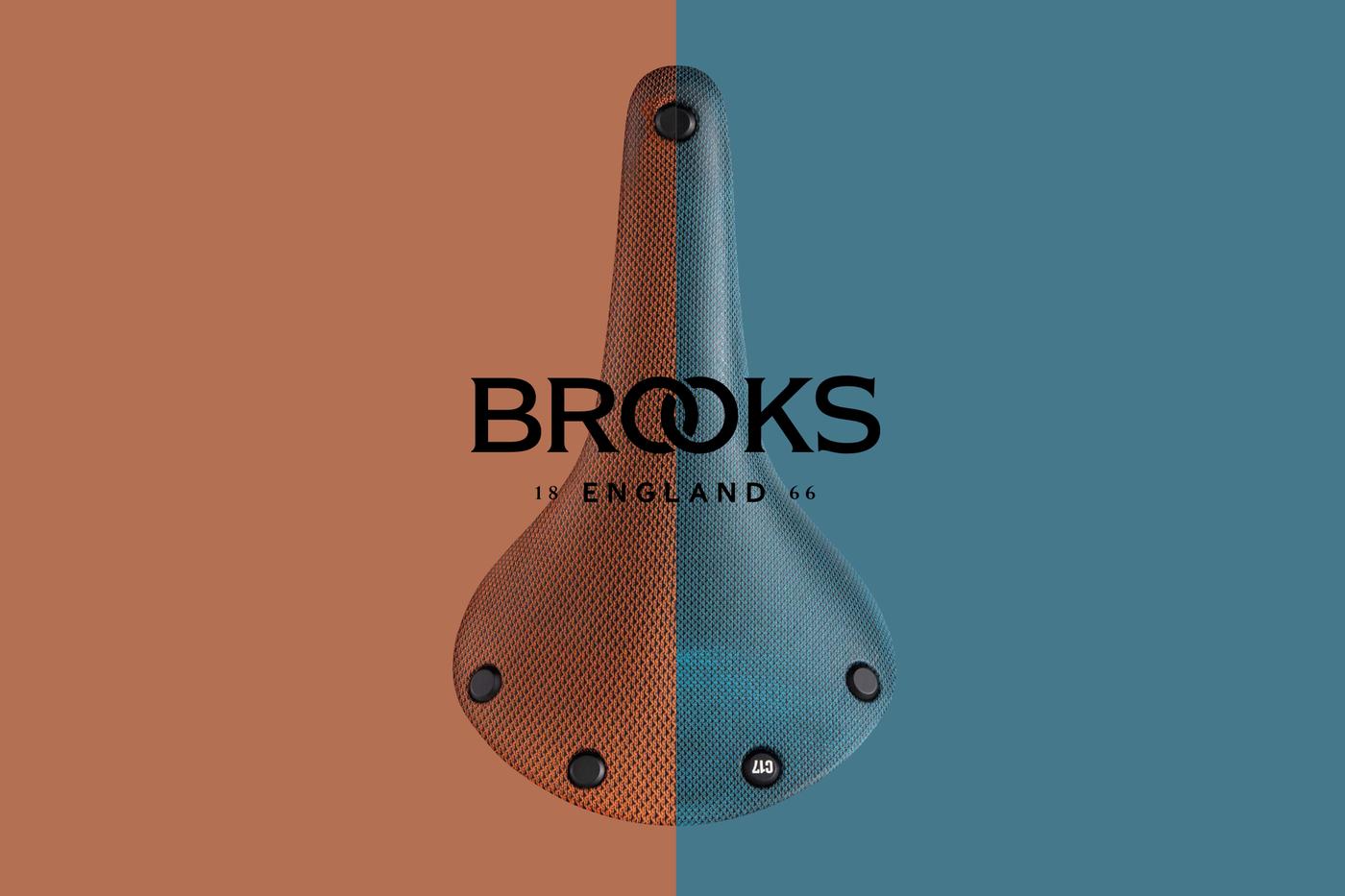 BROOKS Cambium C17 Limited Color 2020