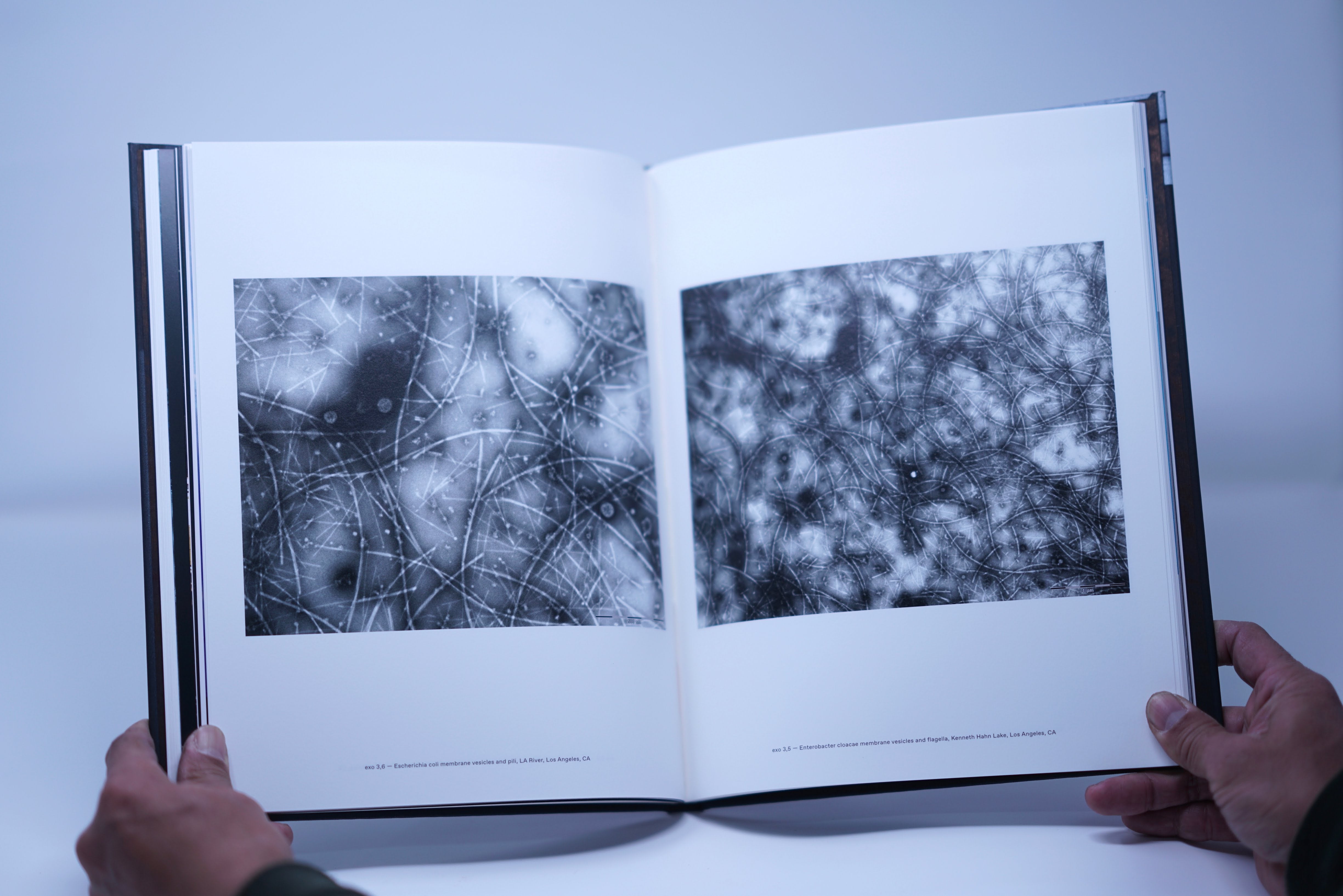 TERASU Vol.2: Connective Tissue