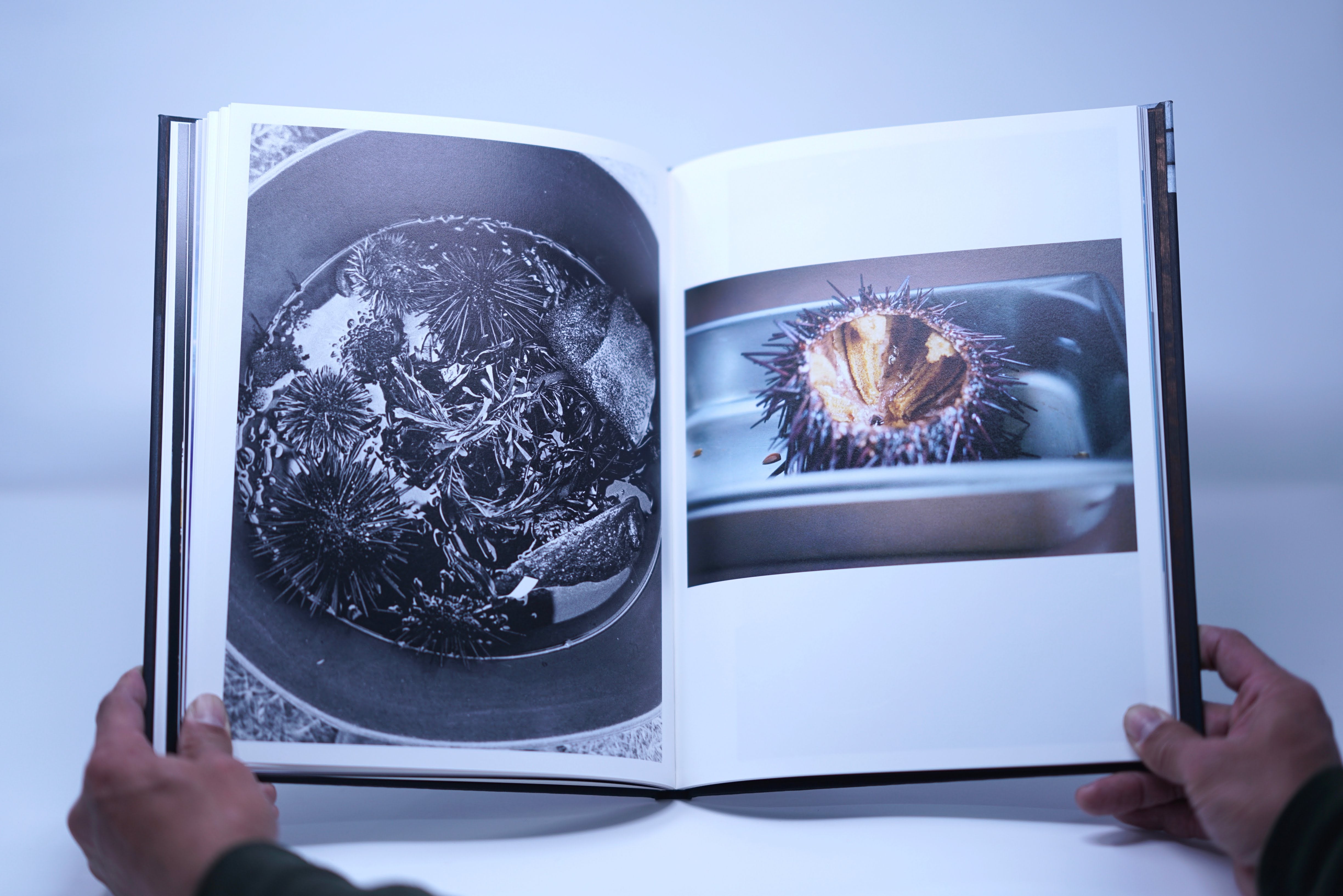 TERASU Vol.2: Connective Tissue