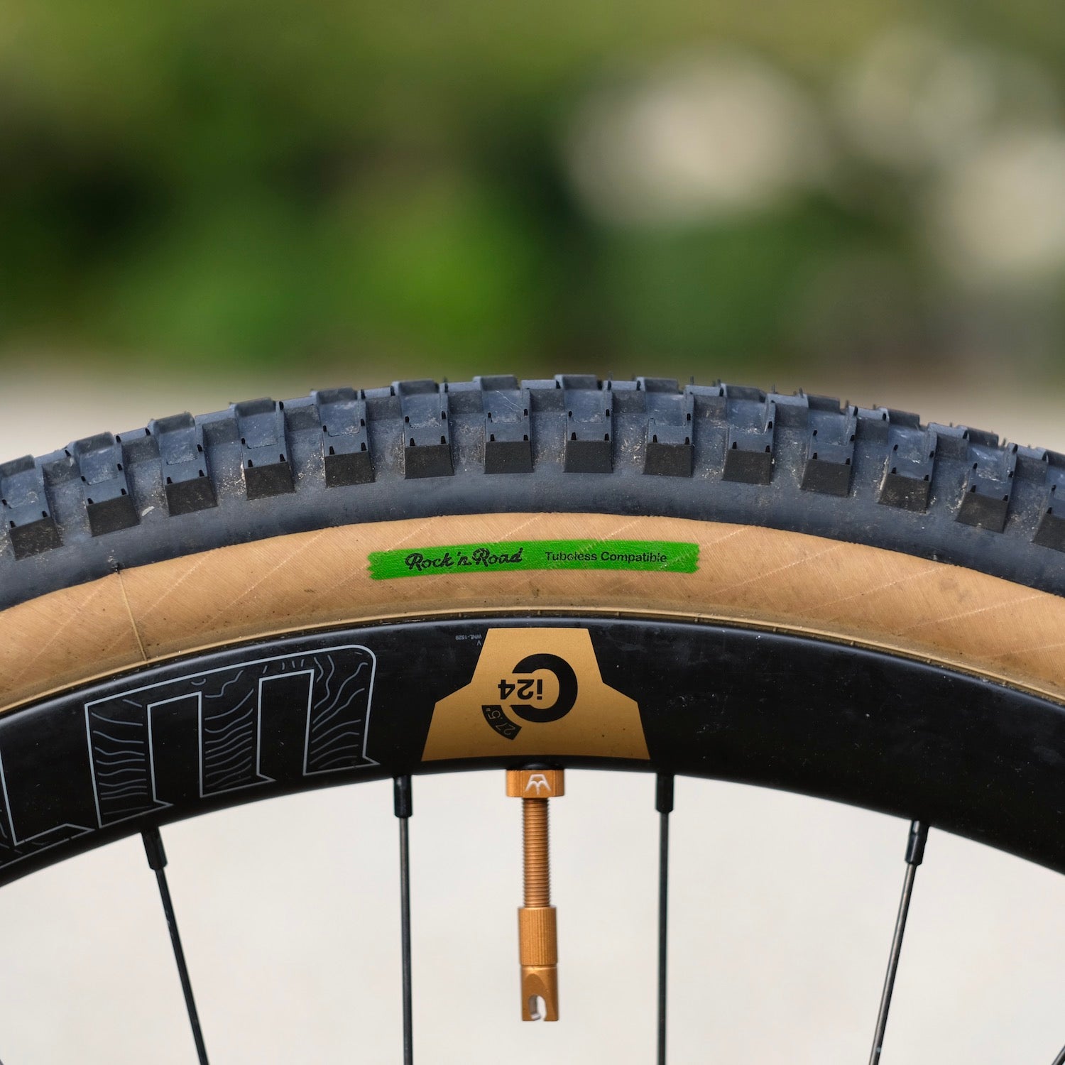 BRUCE GORDON Rock'n Road Tire