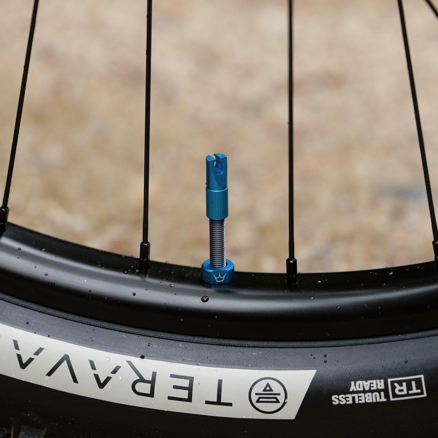 PEATY'S x Chris King Mk2 Tubeless Valves