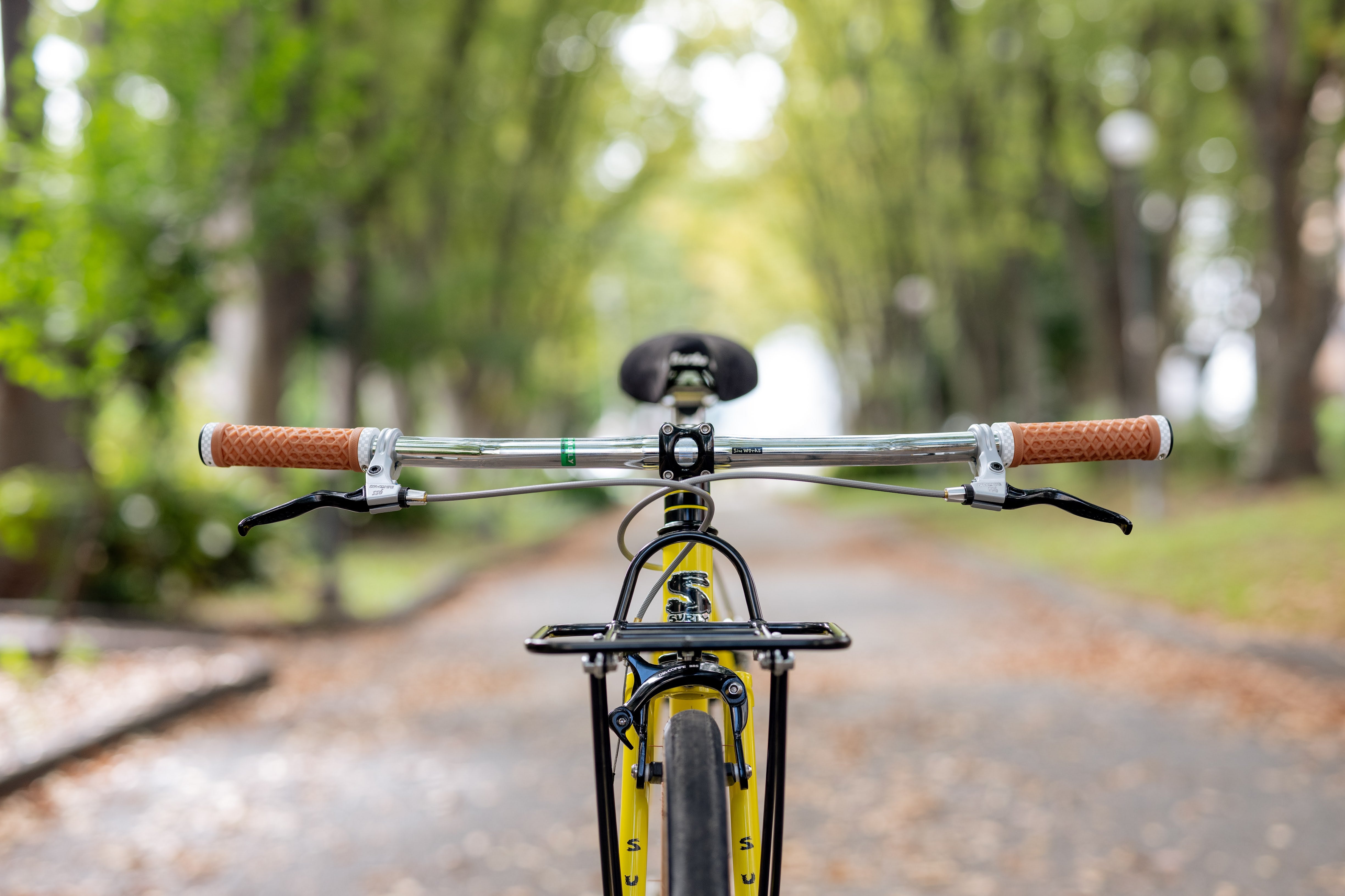 SURLY Steamroller Ver.650b