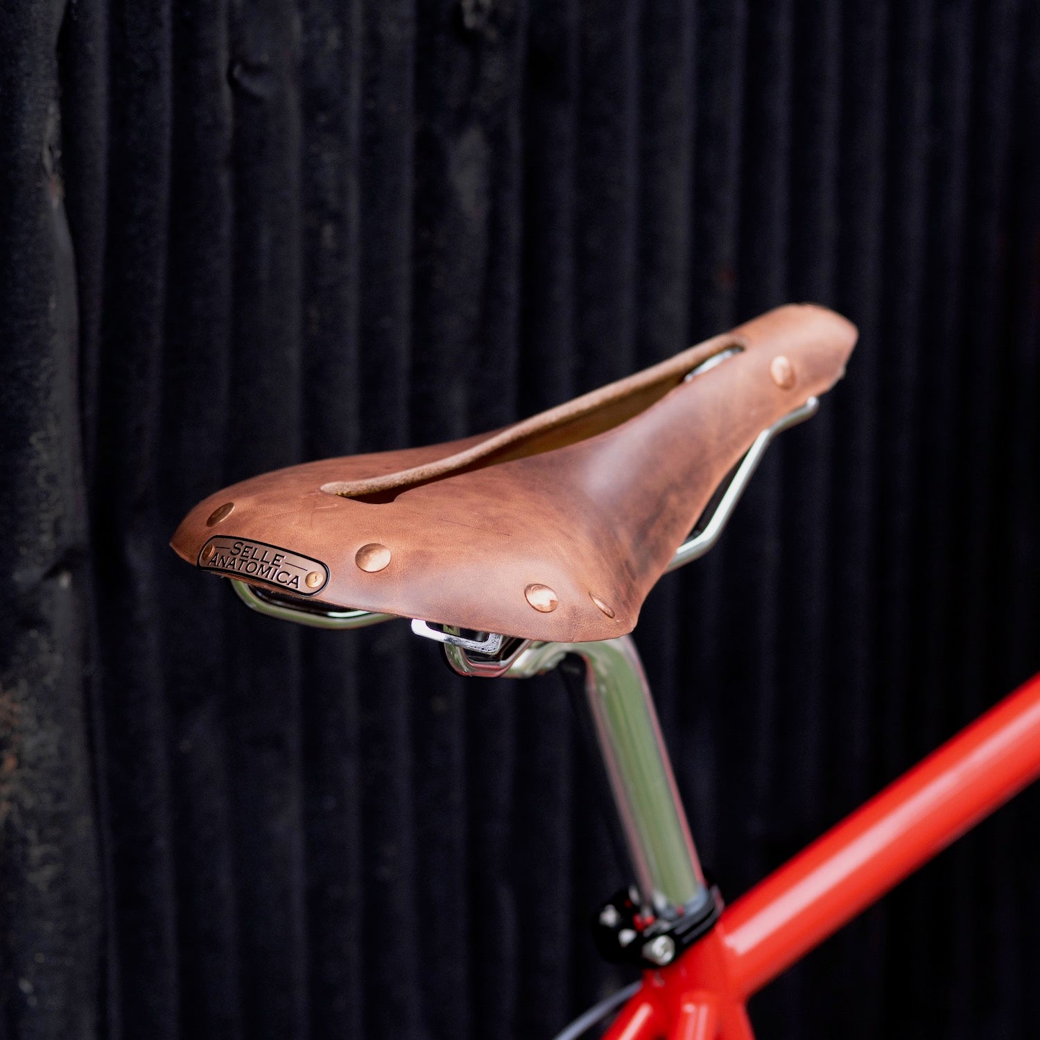 SELLE ANATOMICA X1 Leather Saddle