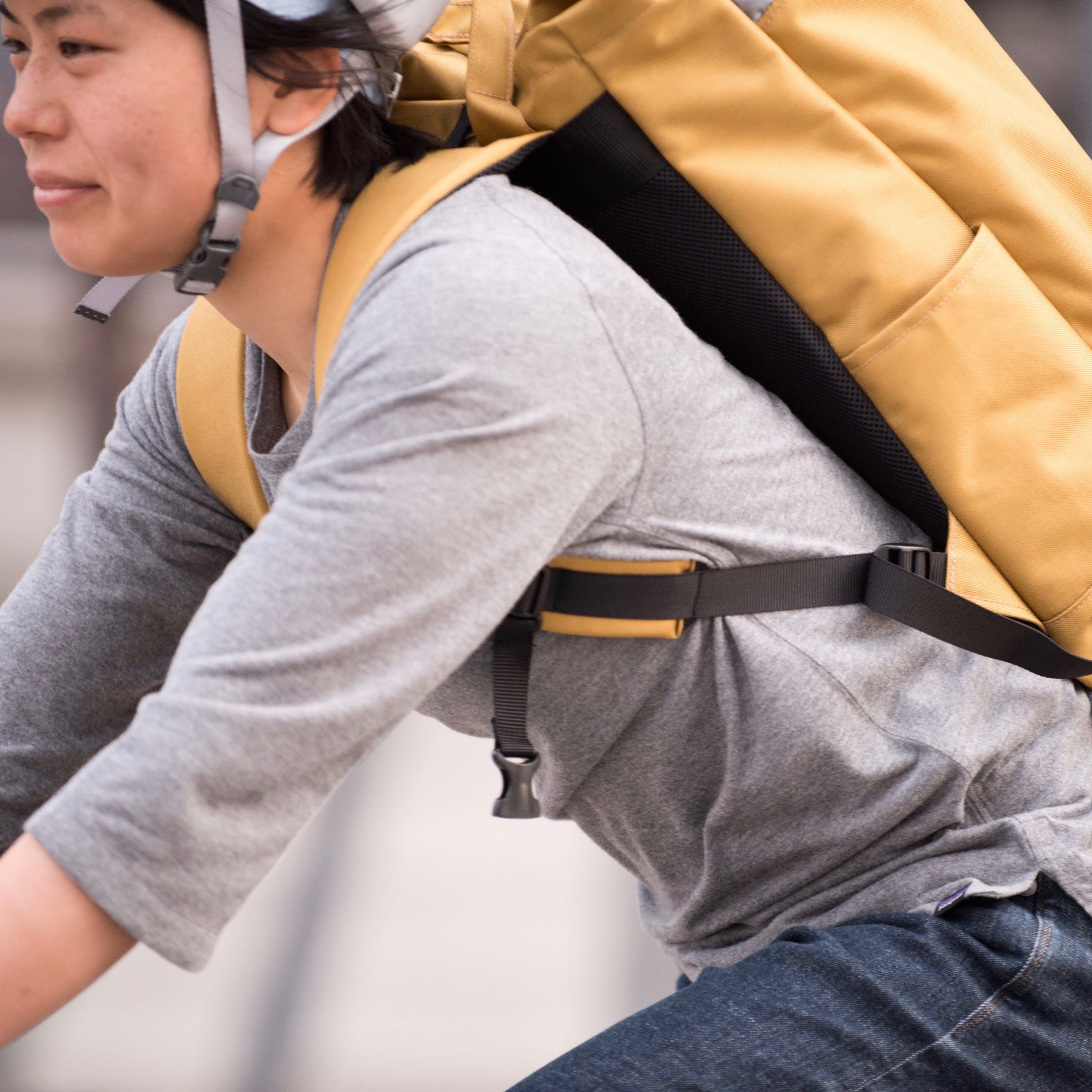 TORAYA EQUIPMENT 105 Circles