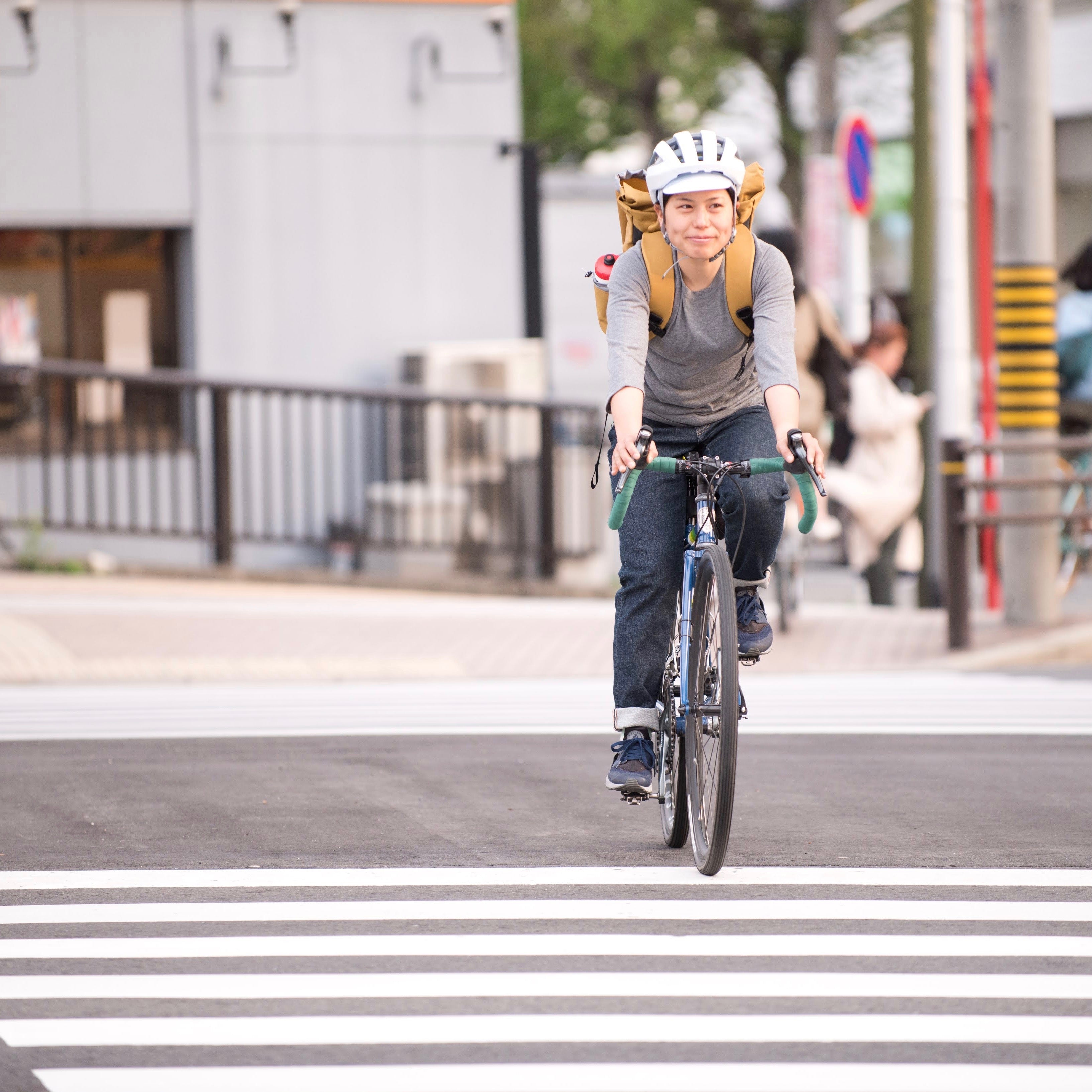 TORAYA EQUIPMENT 105 Circles