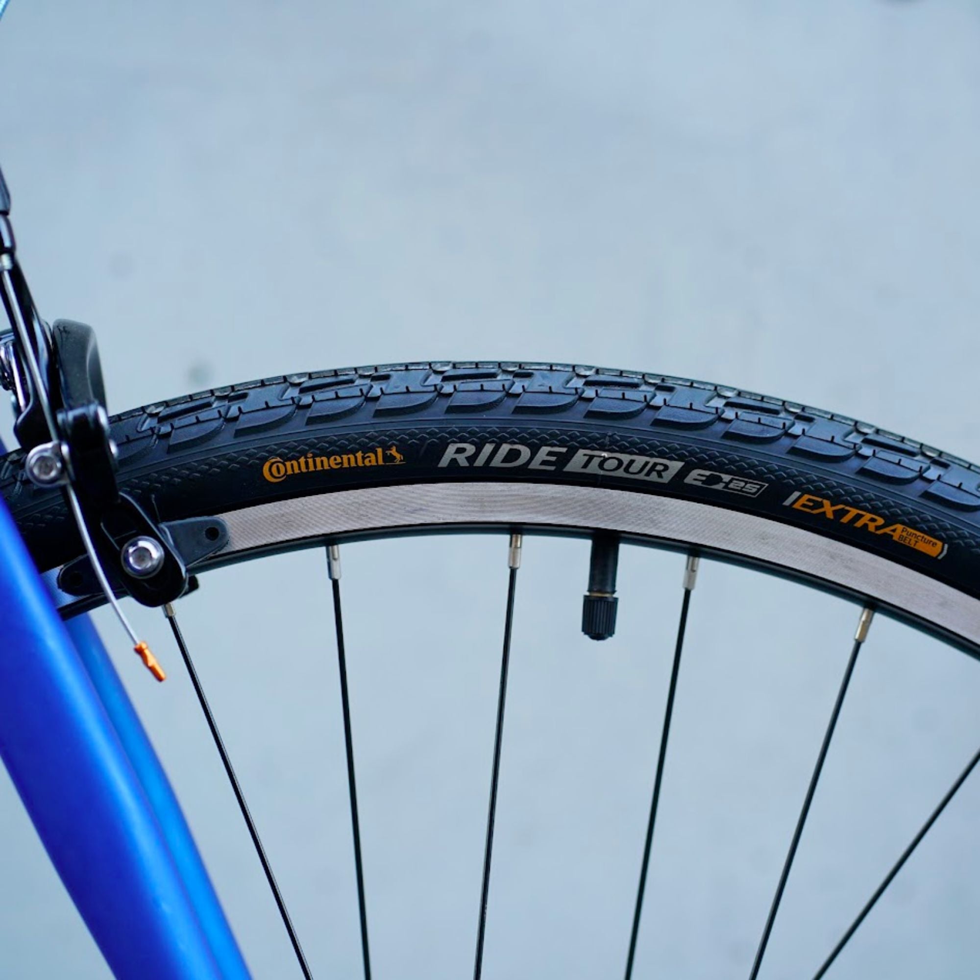 FAIRDALE Express Circles Special