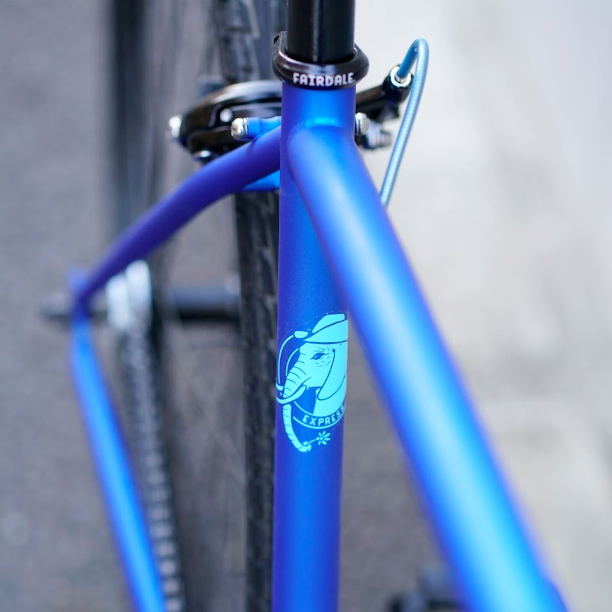 FAIRDALE Express Circles Special