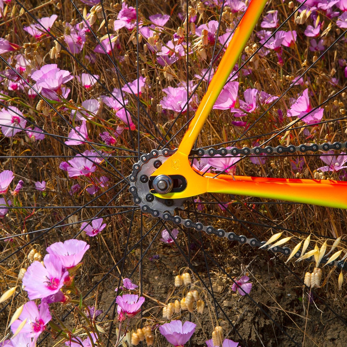 MASH 2022 Steel Frame Set