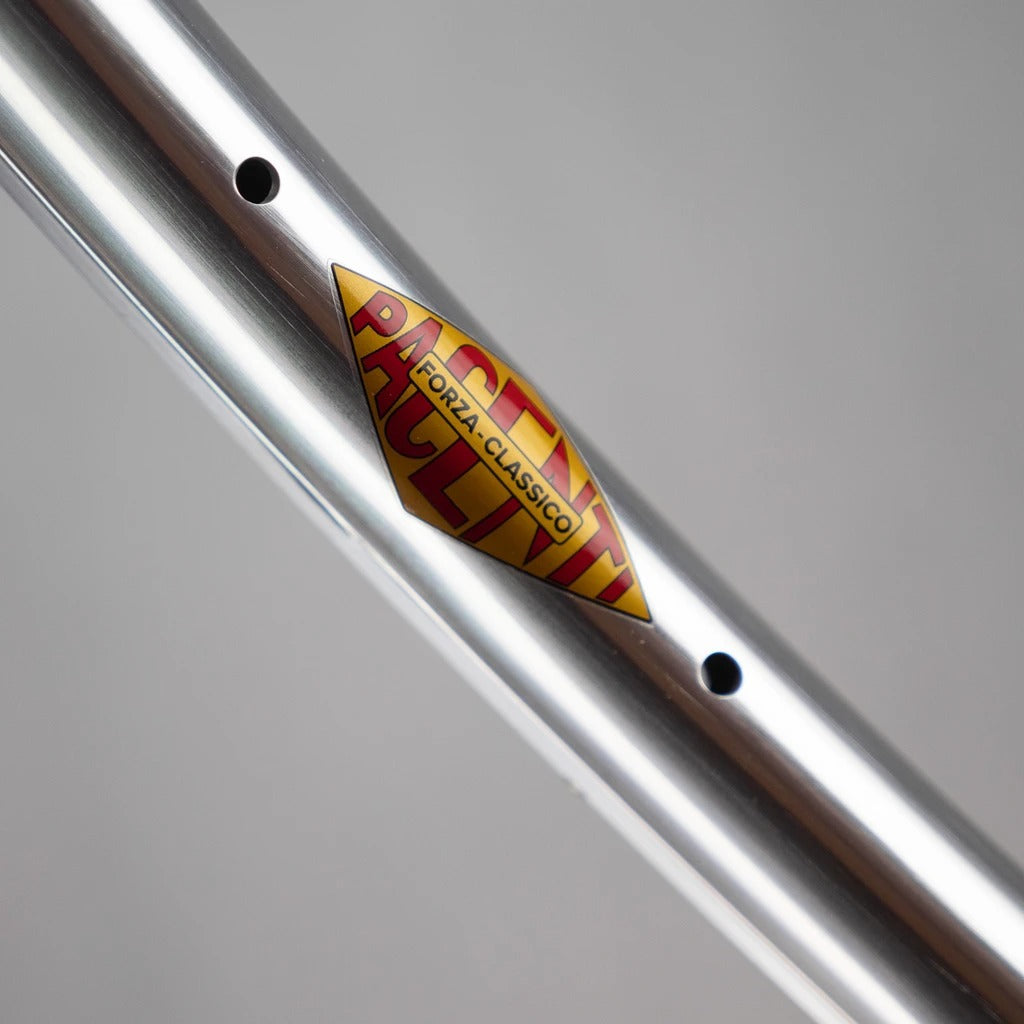 PACENTI Forza Classico Silver Rim 700c