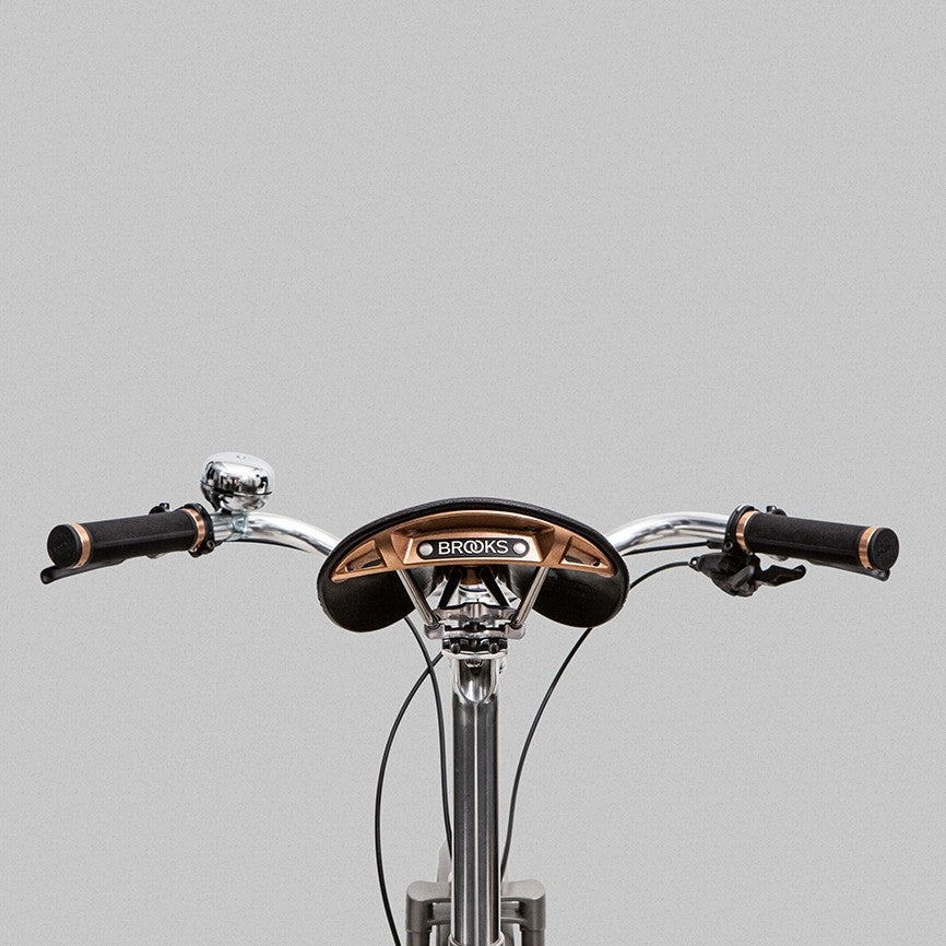 BROOKS Cambium C17 Special