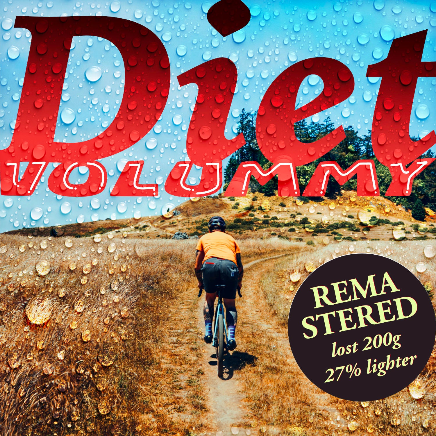 SIMWORKS Volummy Tire 27.5"