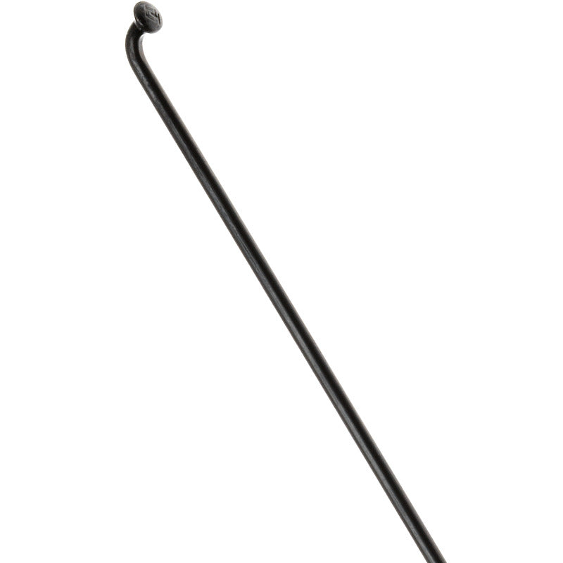 DT SWISS Champion Spoke