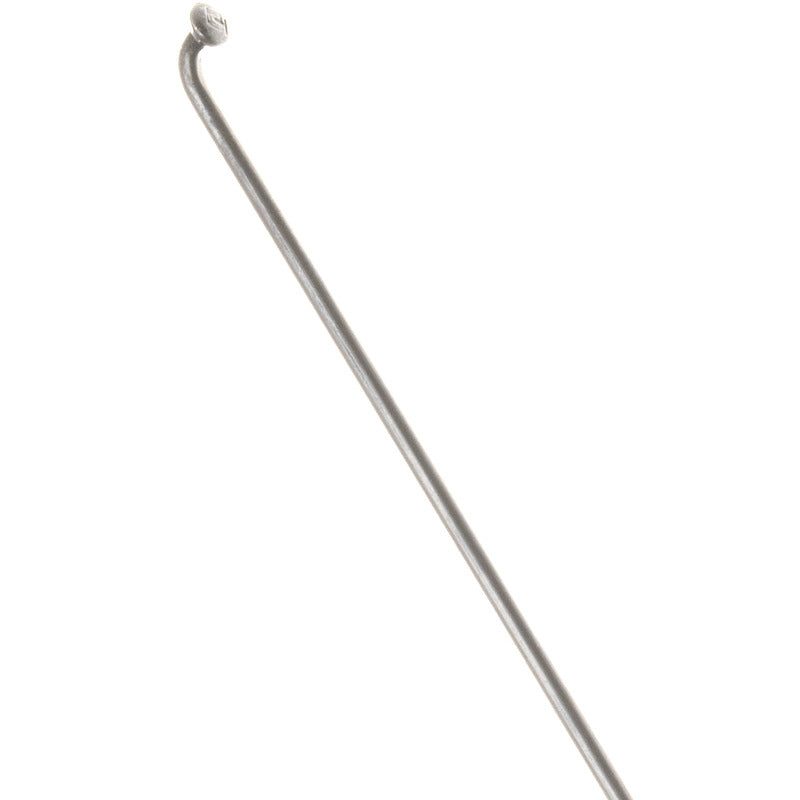 DT SWISS Champion Spoke