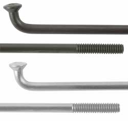 DT SWISS Champion Spoke