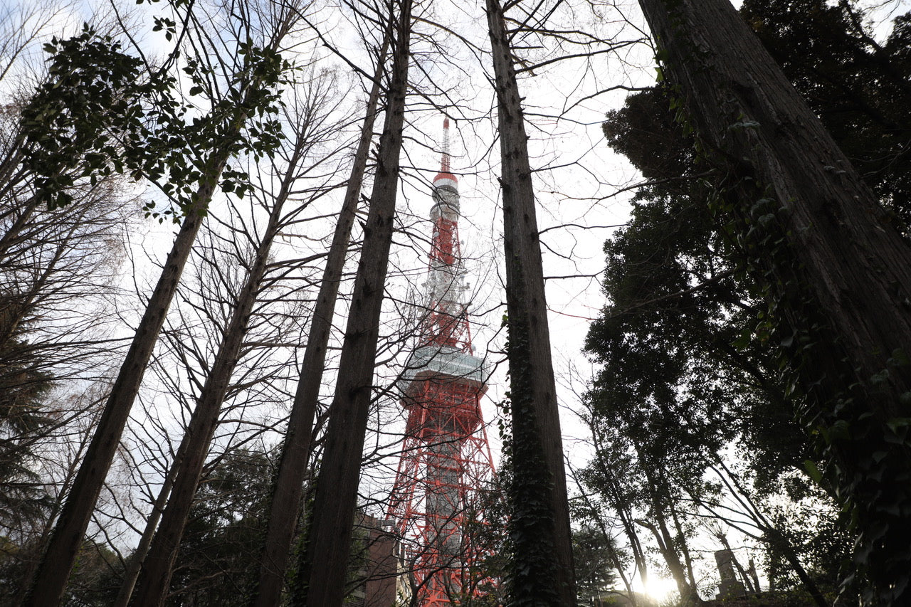 PAPERSKY No.62 Tokyo