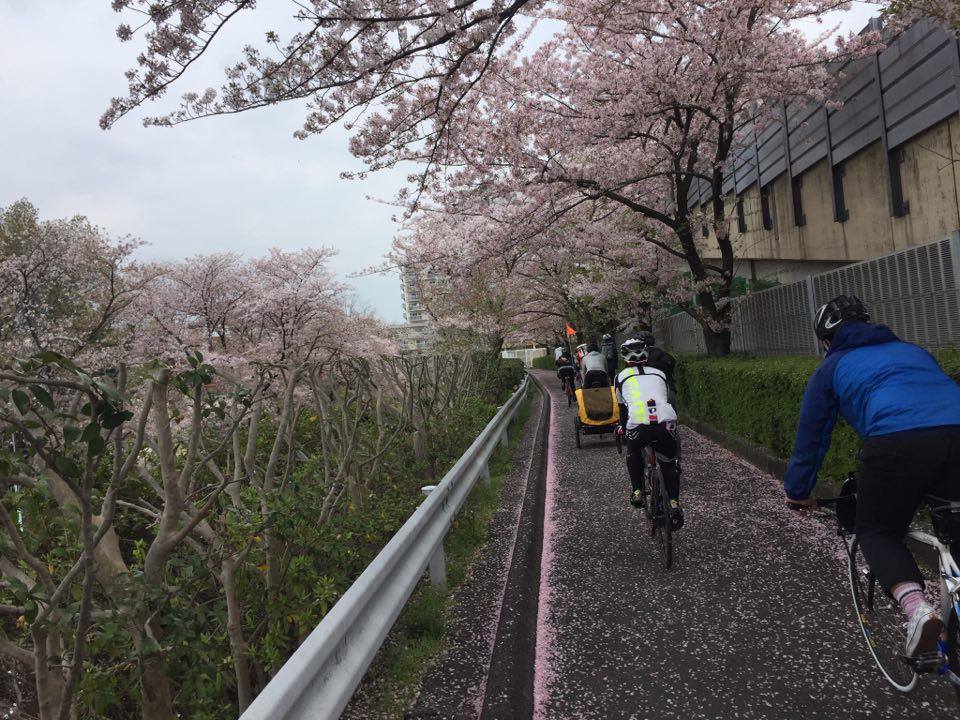 抜け道発見！ Bike Toな土曜日