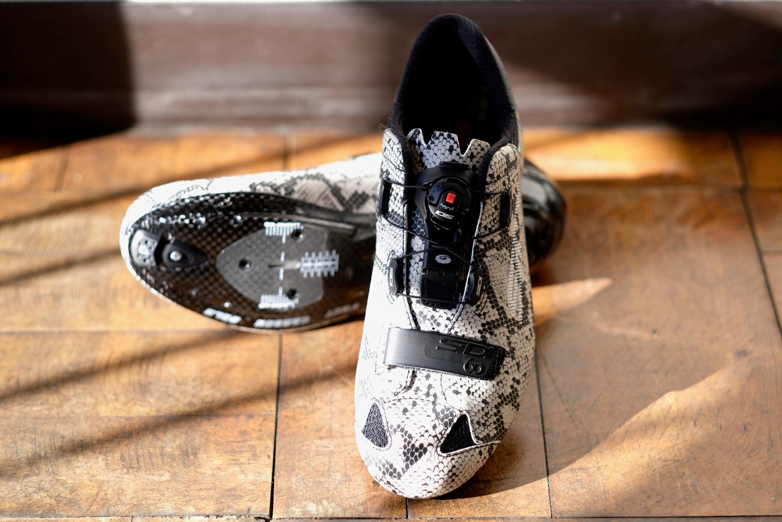 【SIDI】こちらsixty snake