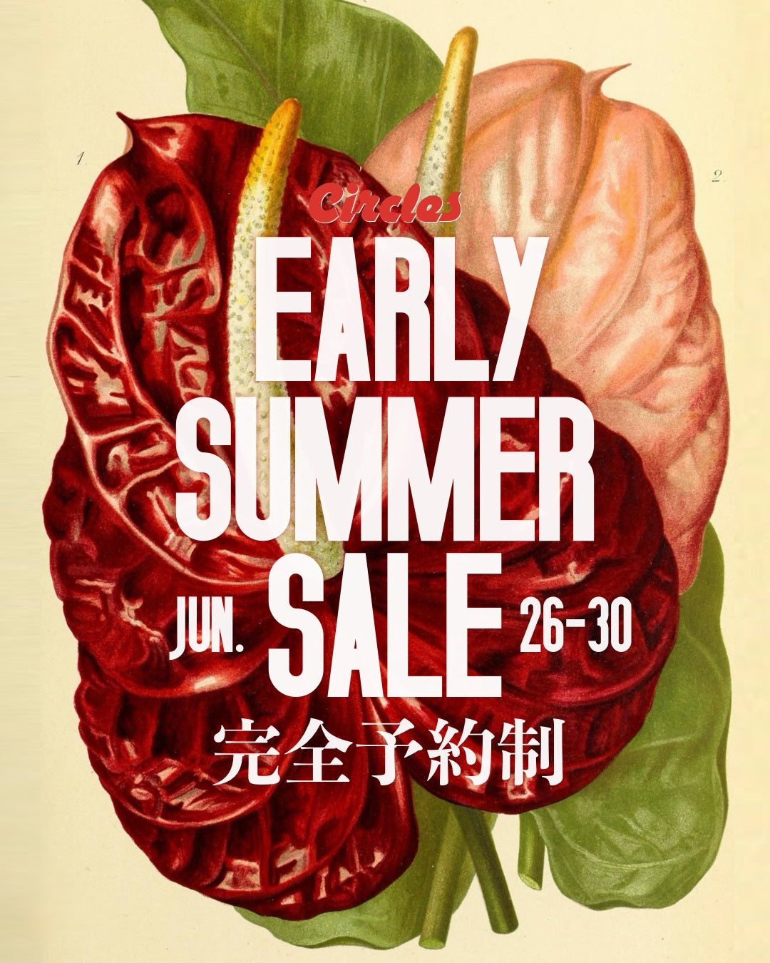【EARLY SUMMER SALE】完全予約制にてセールを開催いたします！