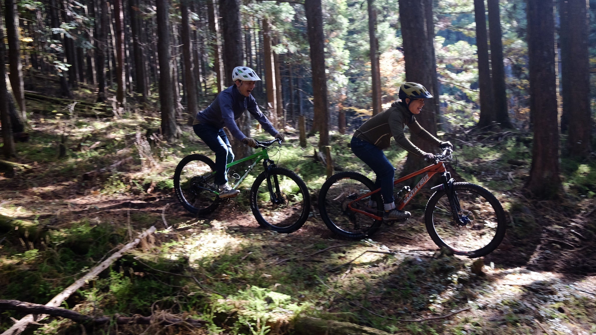 【INABU BASE PROJECT Trail Tour】海の日だけど山に行きませんか？
