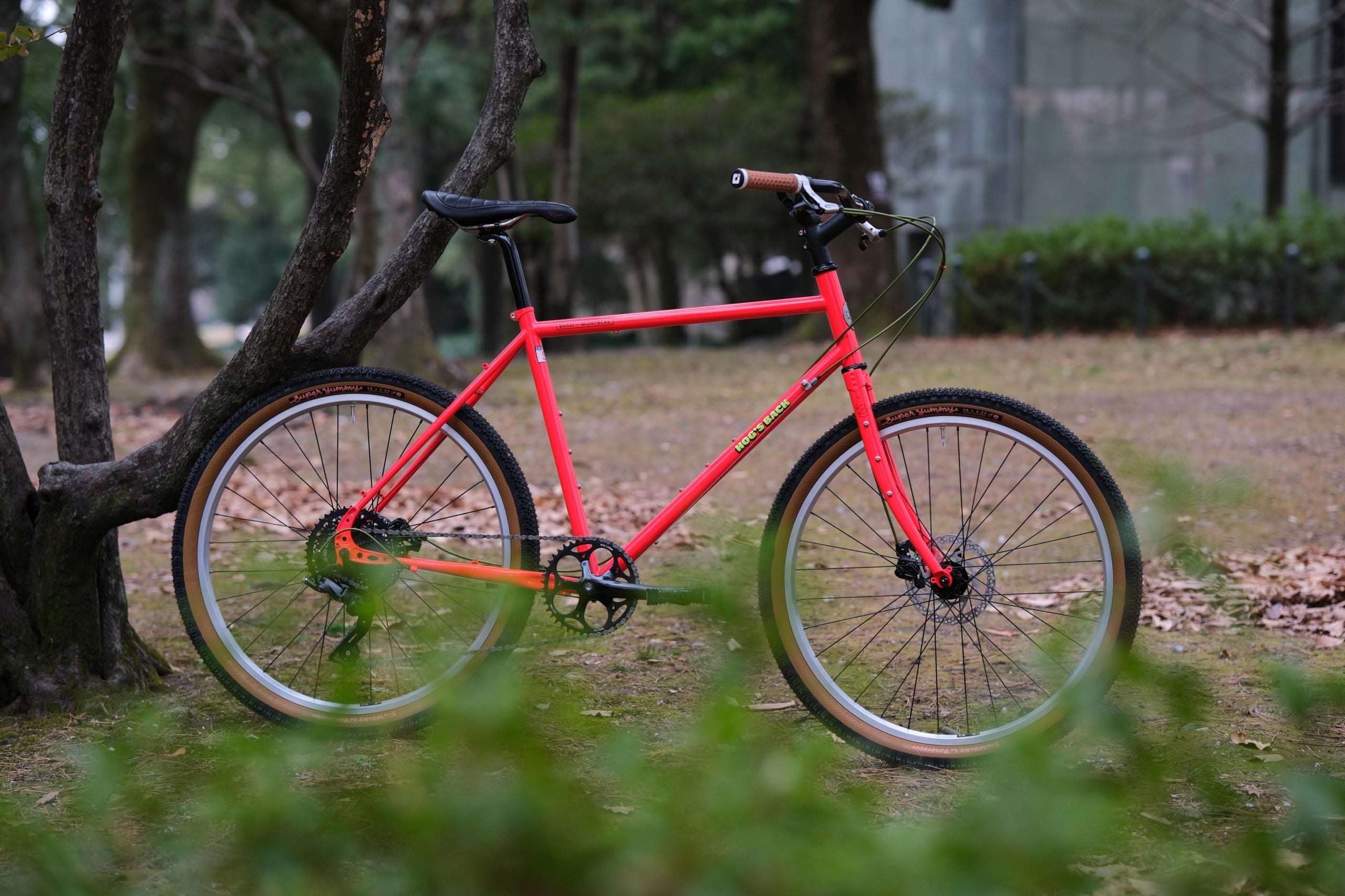 【BIKE of the WEEK】BASSI BIKES Hog’s Back Fun 3 Cruiser