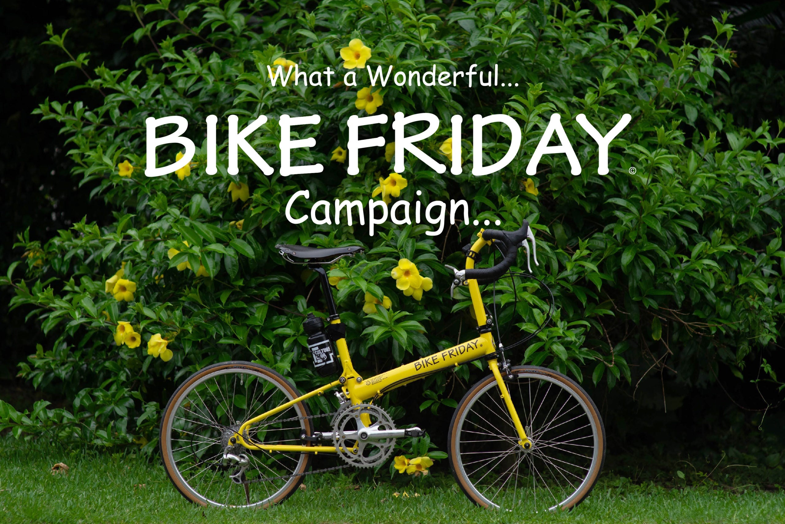 【2月17~21日】BIKE FRIDAY Campaignでバイクフライデーを購入するチャンス！
