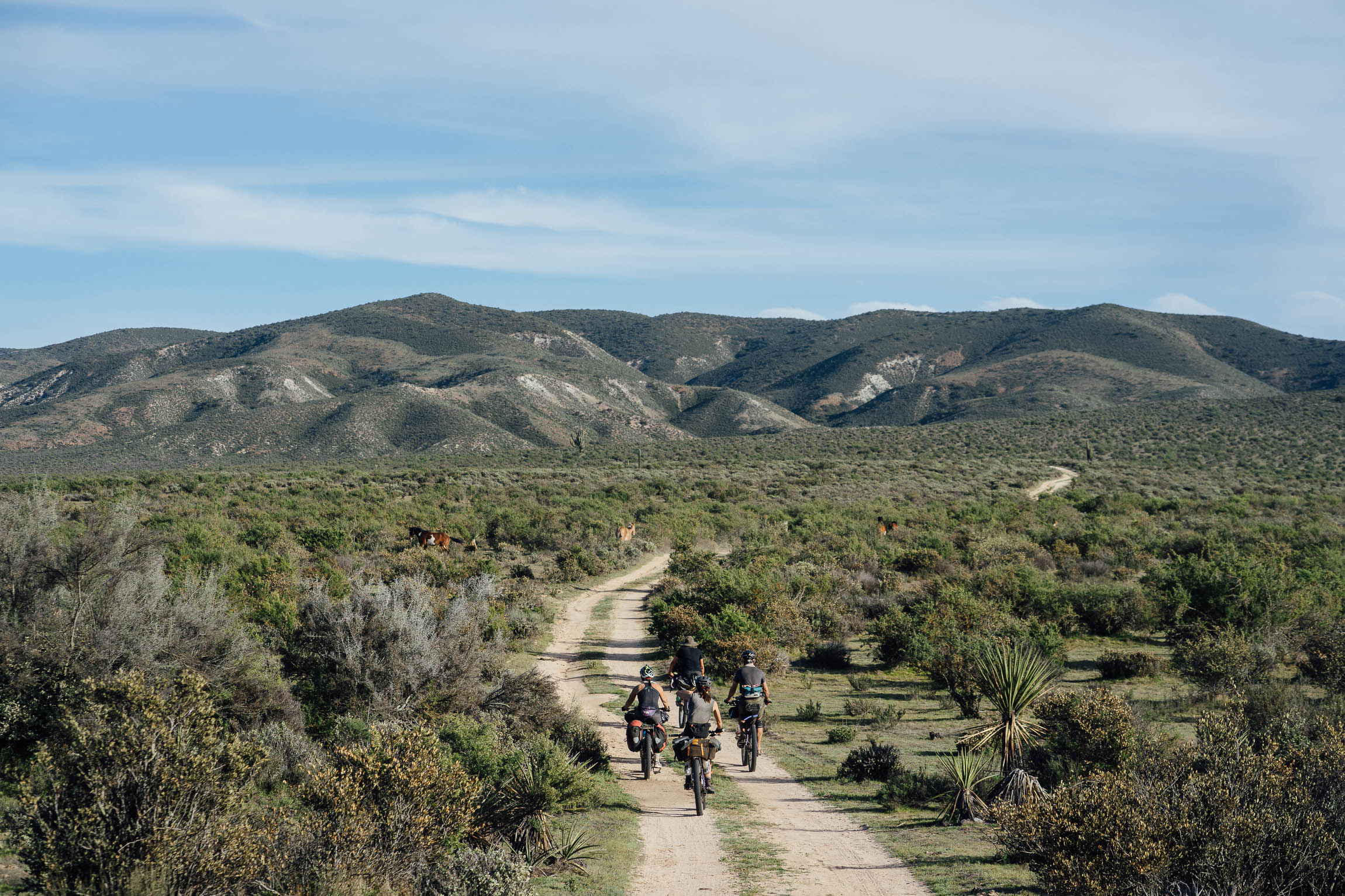 BASSI BIKES Interview with Julian & Roberto (C&L CYCLES)