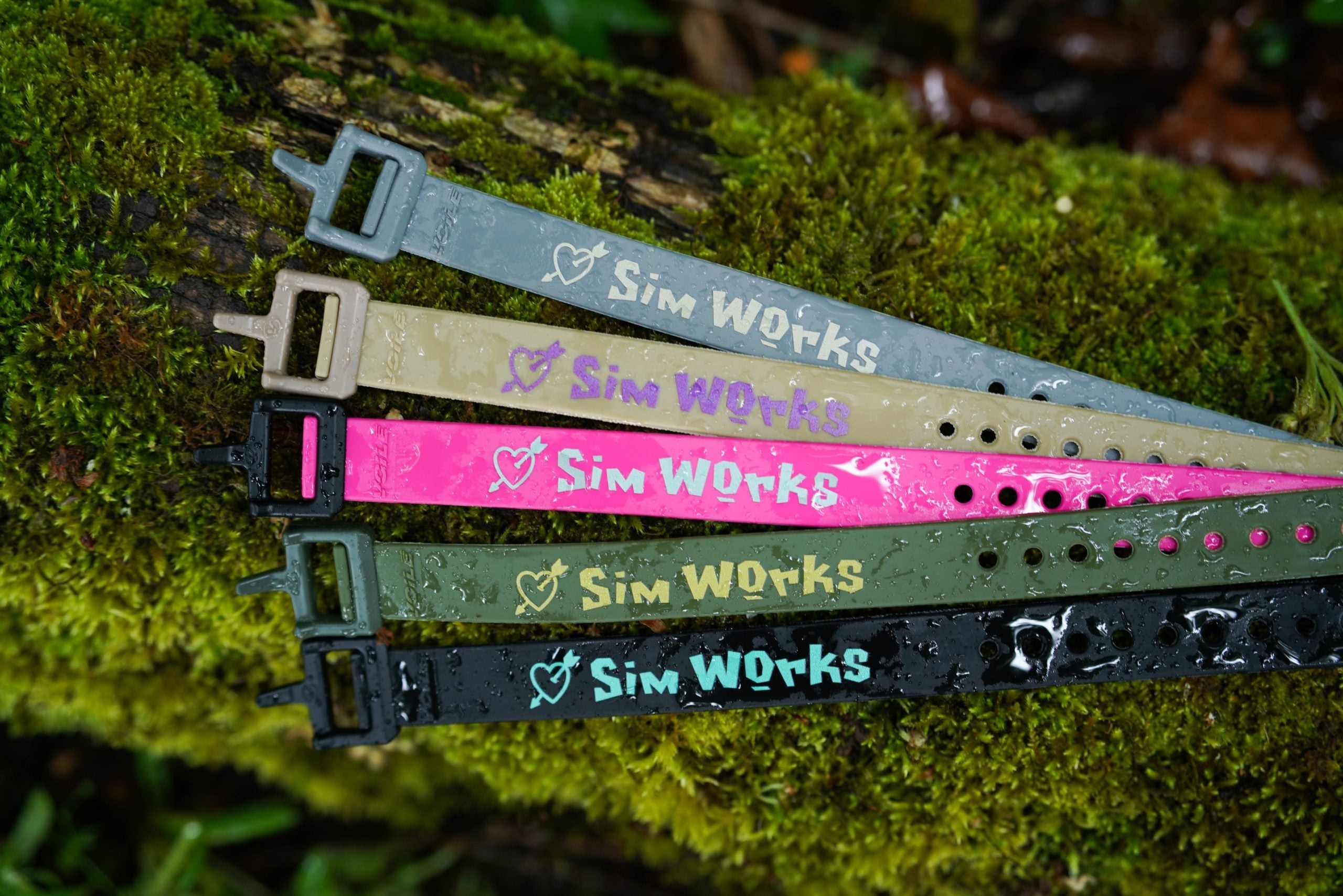 What’s New from SimWorks