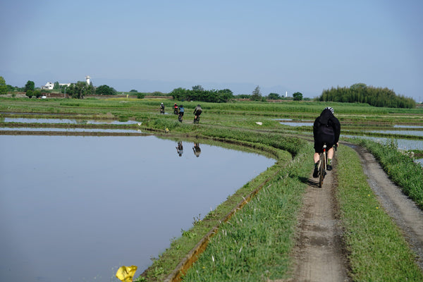 #ArakawaOutback の華厳的グラベル世界と巨大鯉