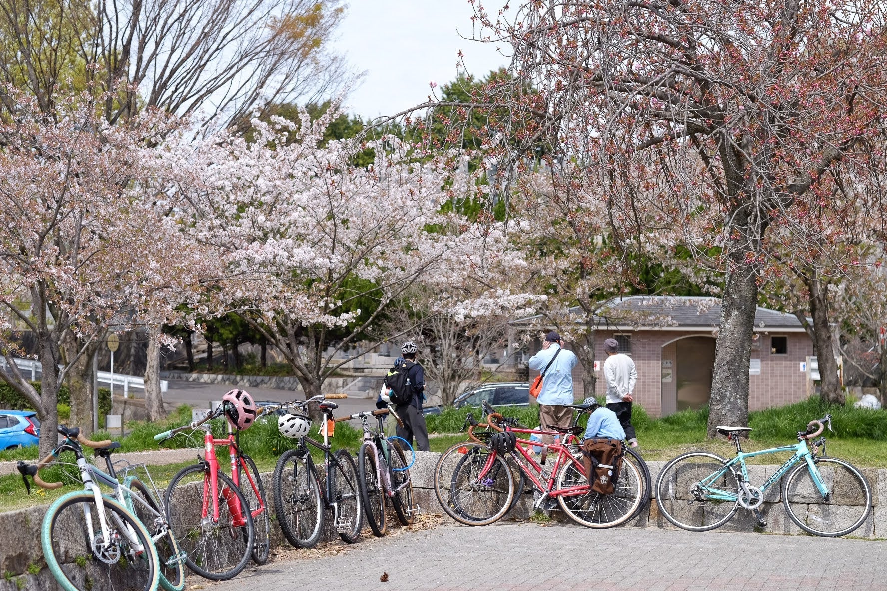 【ライドのお誘い】4月20日（日）🍙Bike To ピクニック🍙