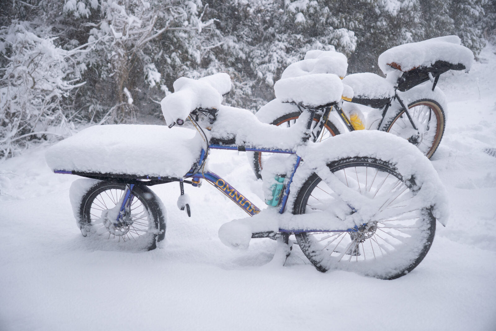 【OMNIUM】Cargo – Bikepacking to 滋賀県