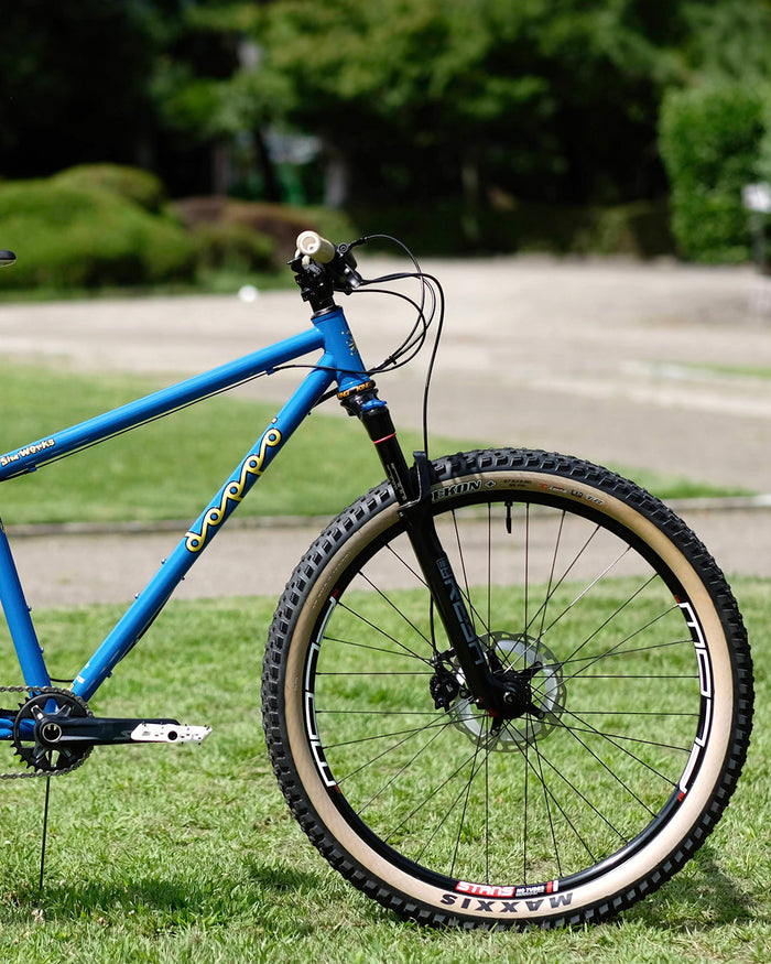 SIMWORKS / Doppo MTB Trail Shredded Style