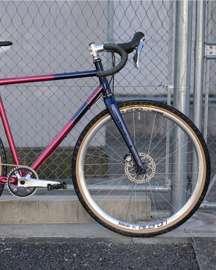 WILDE BICYCLE CO / Earth Ship Steel