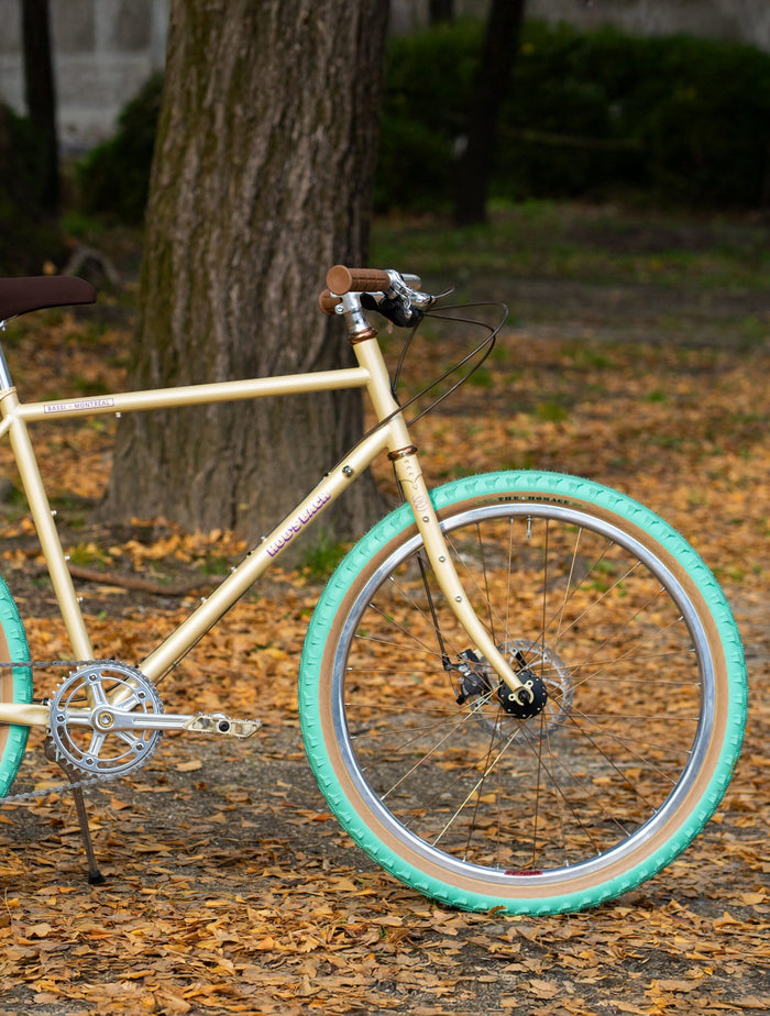 BASSI BIKES / Hog’s Back