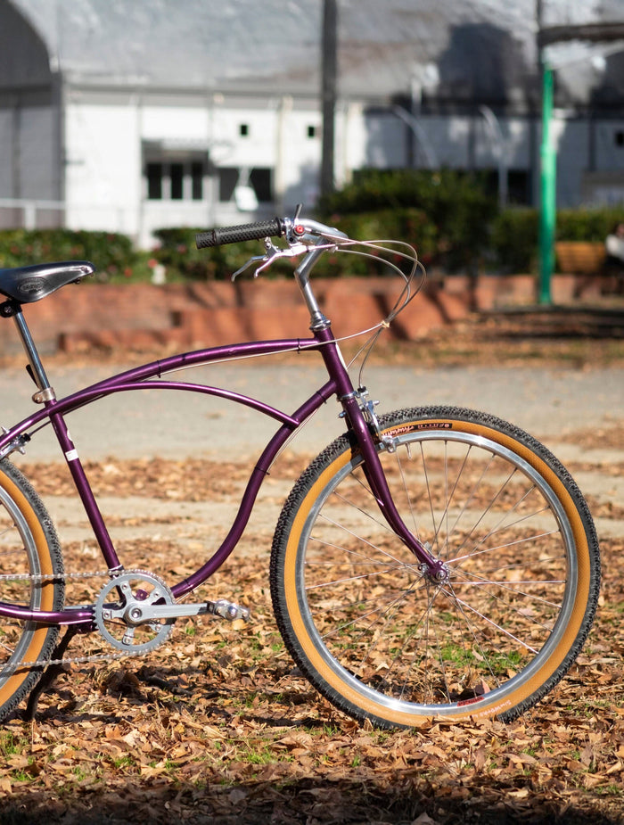 SCHWINN / 80′ Cruiser
