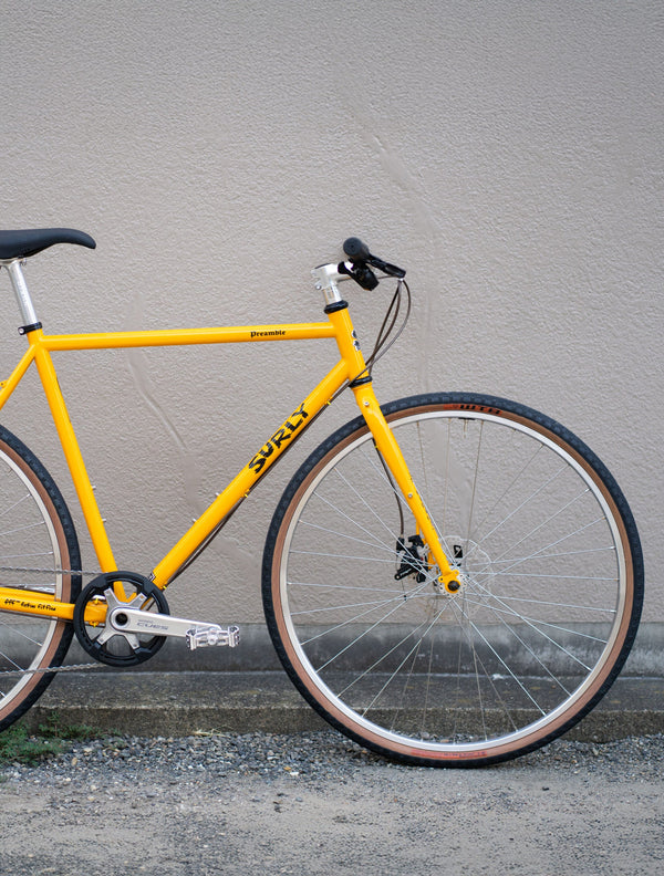 SURLY / Preamble