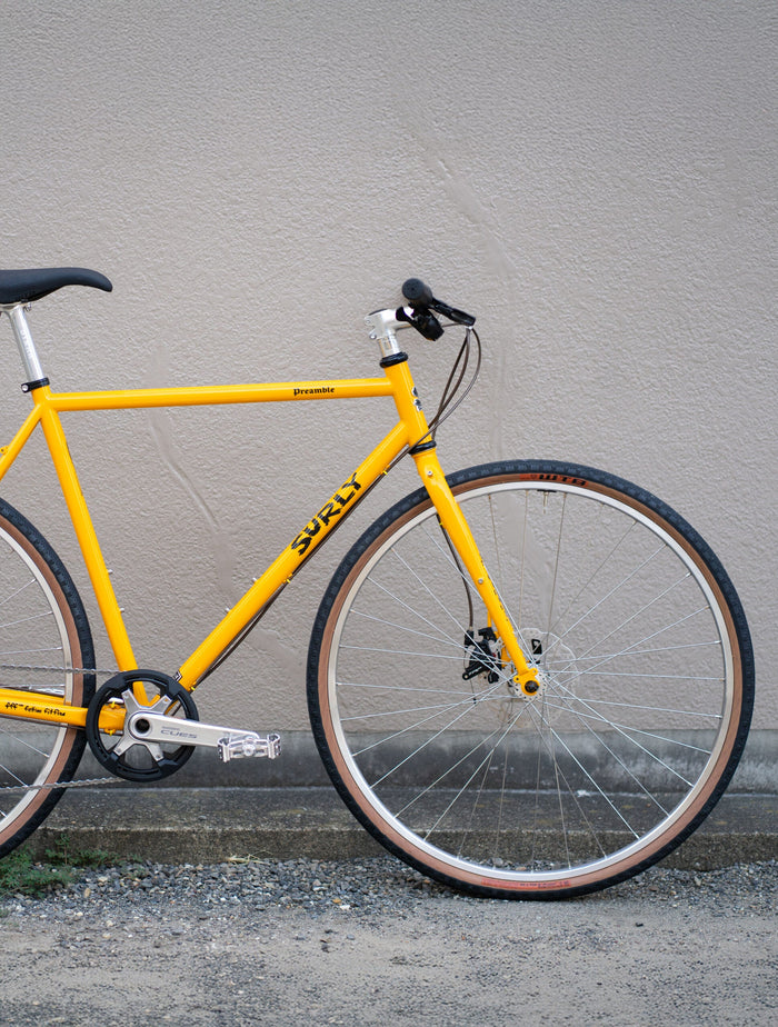 SURLY / Preamble