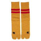 RAL Tabby Socks