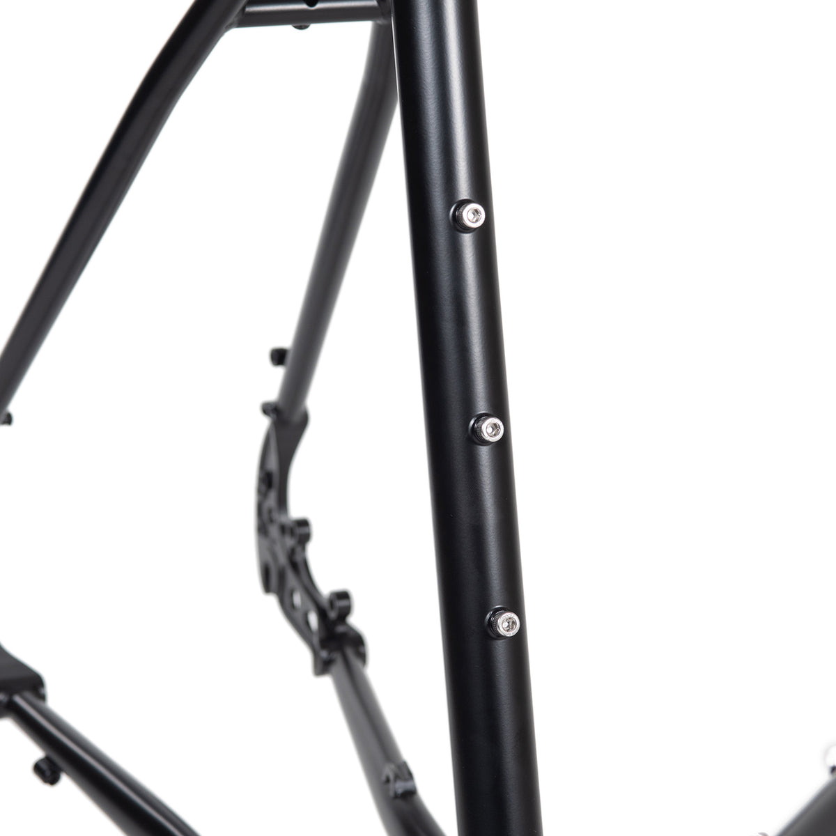 BASSI BIKES Hog's Back 2024