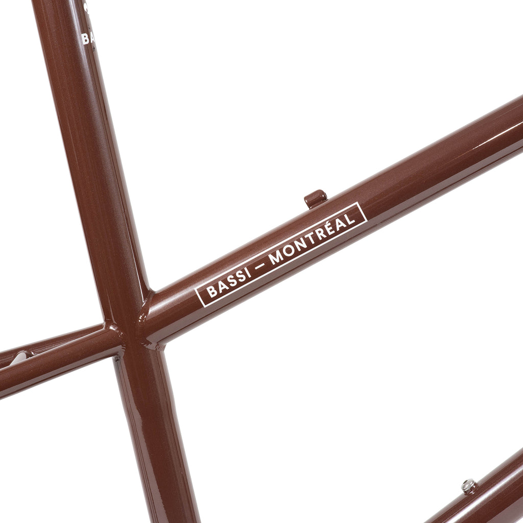 BASSI BIKES Rachel Frameset