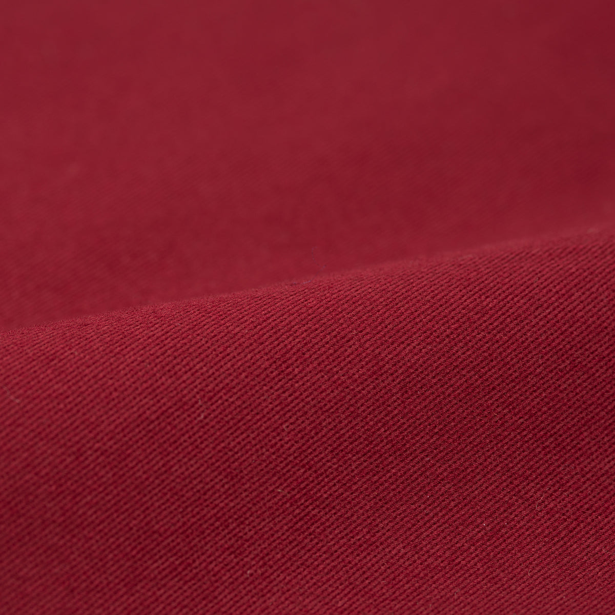 DICKIES Circles 874