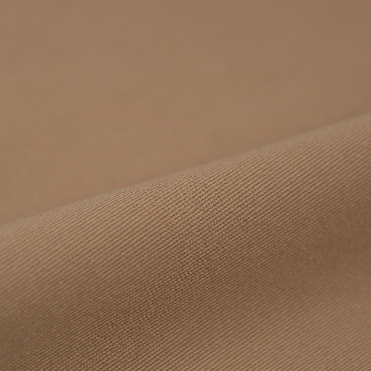 DICKIES Circles 874