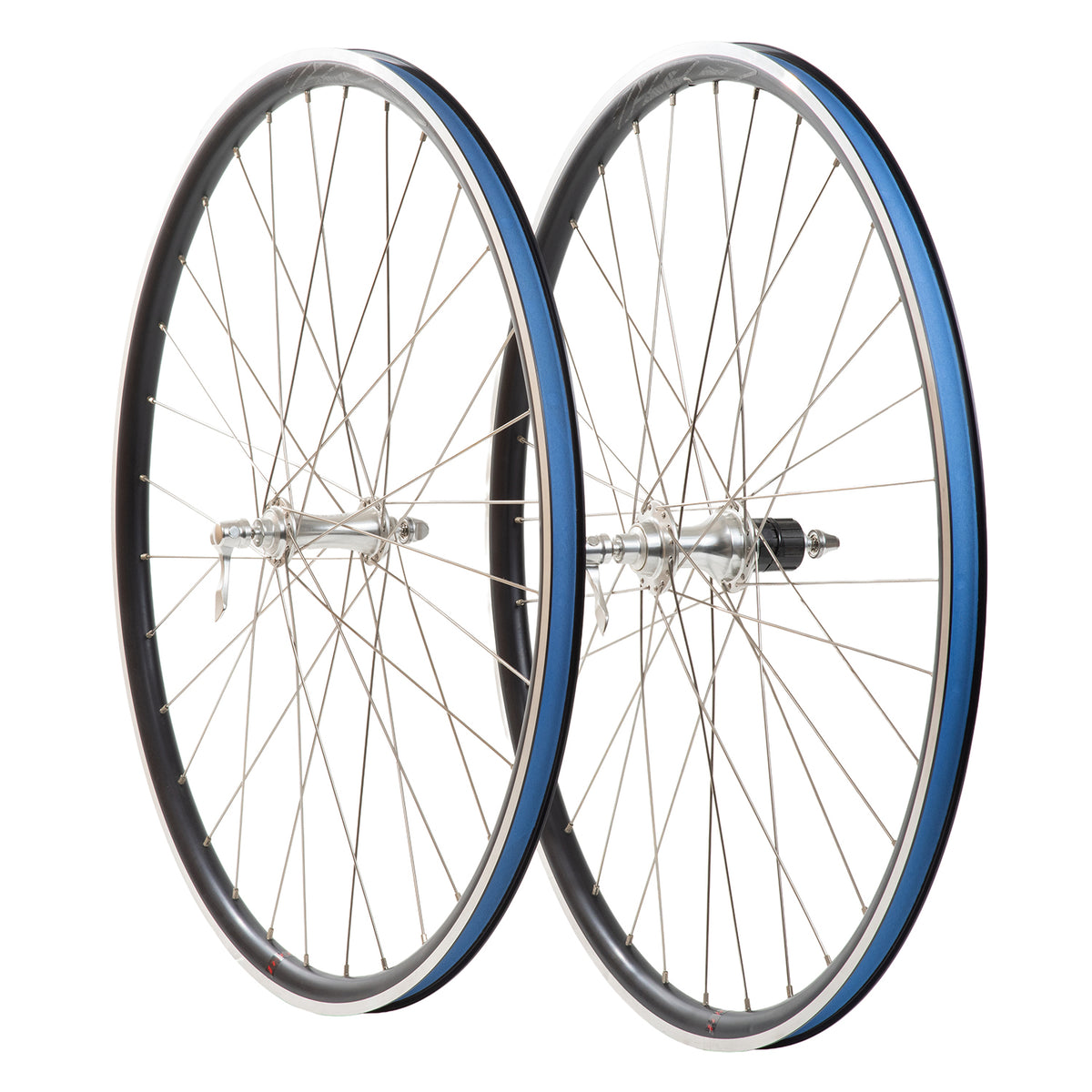 GORILLA SPUN [VELOCITY Quill x VELOCITY Road Hub]