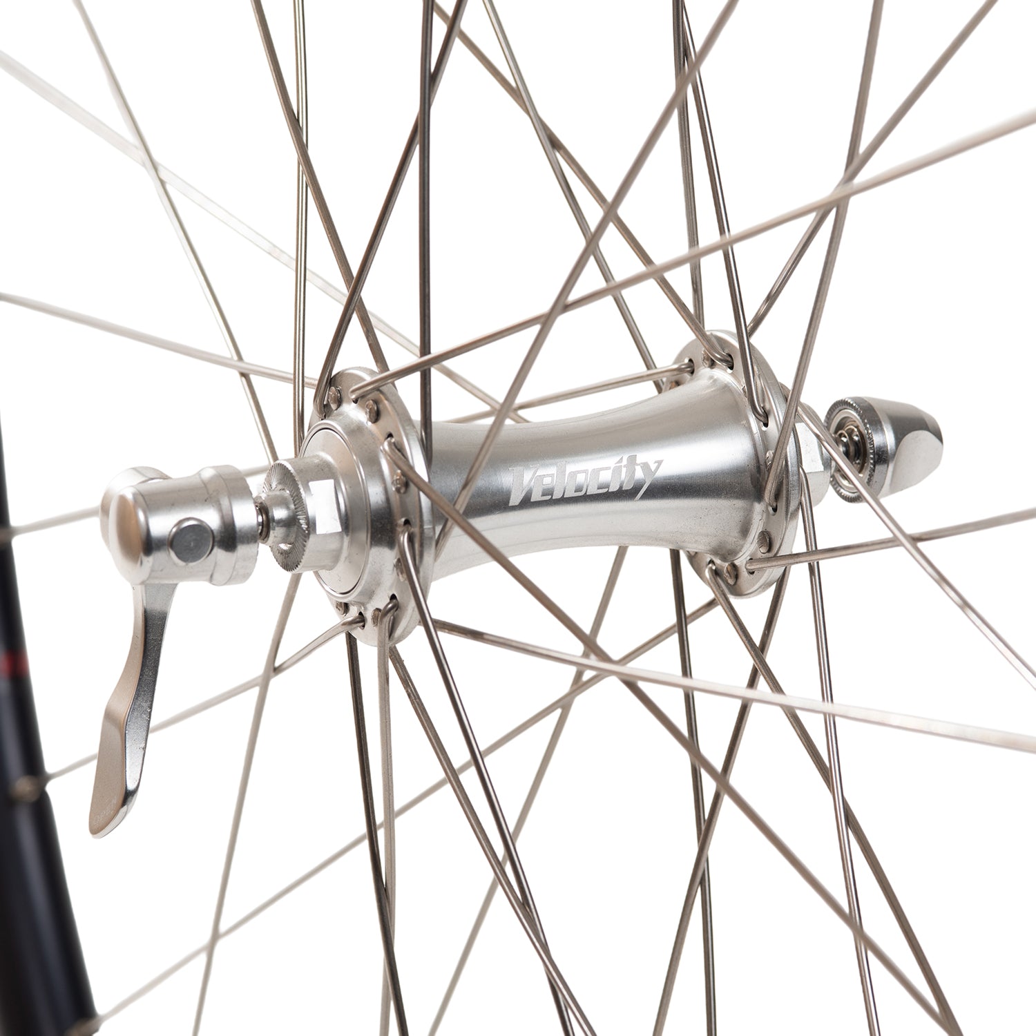 GORILLA SPUN [VELOCITY Quill x VELOCITY Road Hub]