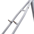 RAL Exposure - Trail Commuter Frameset