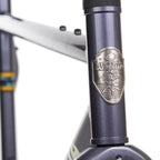 WILDE BICYCLE Rambler SL Frame Set - Disco Moondust