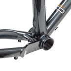 WILDE BICYCLE Supertramp Frame Set - Sparkly Green Grey