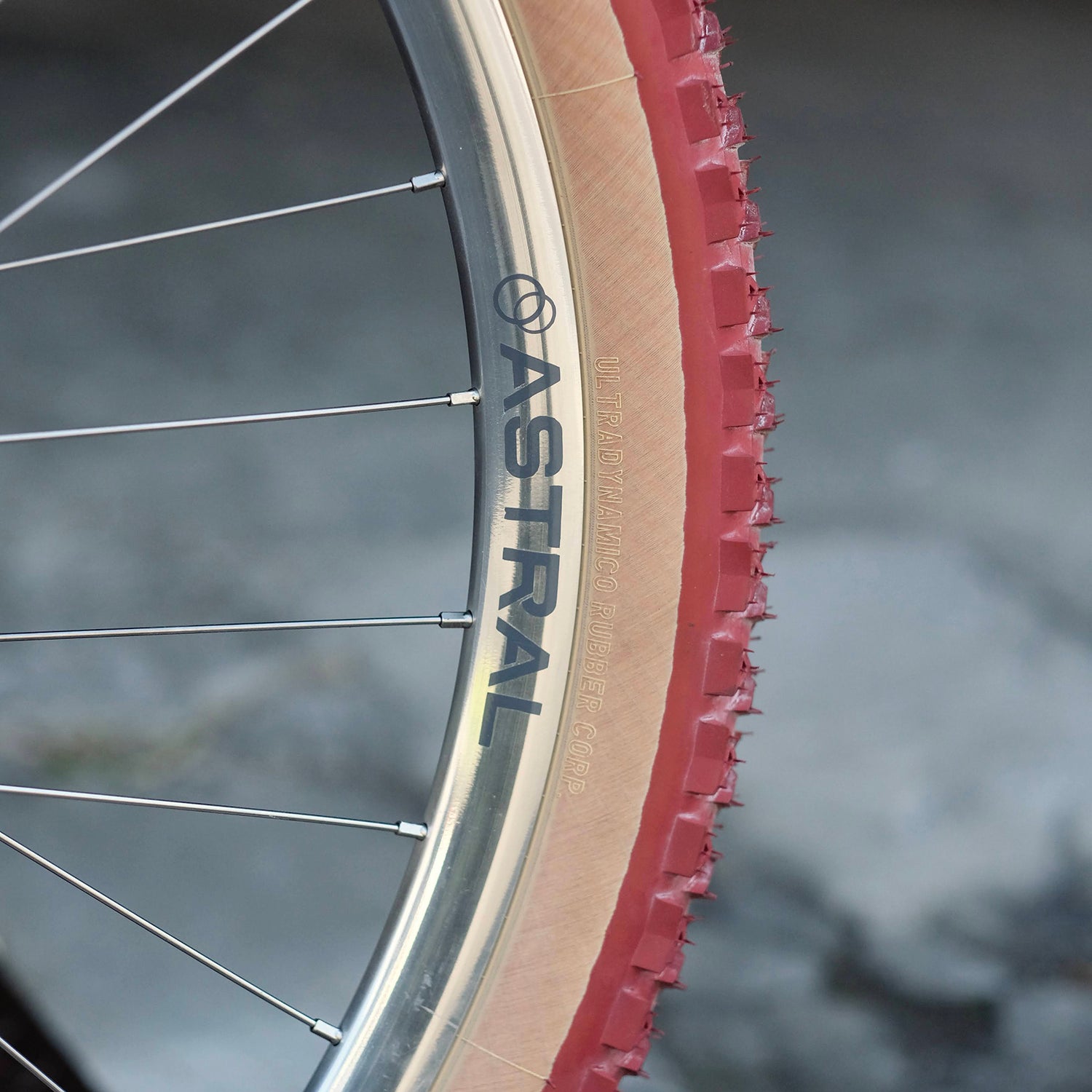 WILDE BICYCLE CO. Rambler Circles Original Complete Bike