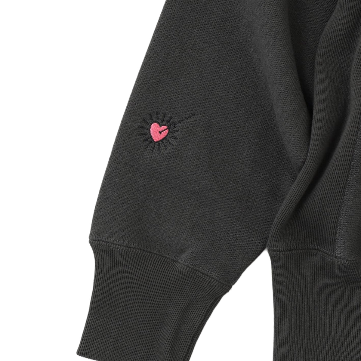 CHAMPION SIMWORKS Logo Zip Hoodie