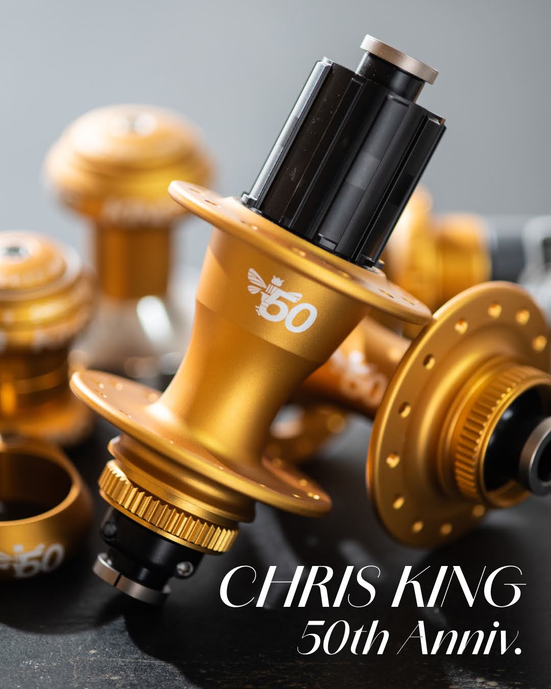 Circles WEBSHOP - 名古屋の自転車屋サークルズ